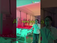 एलईडी जाल स्क्रीन